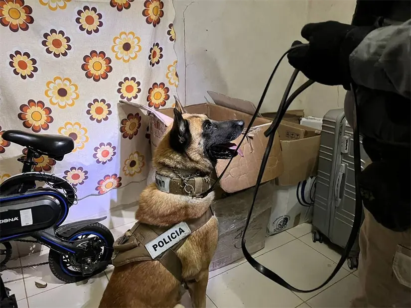 imagen recuadro imagen recuadro