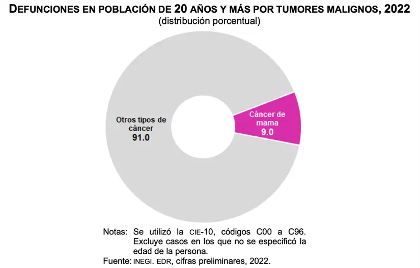 imagen recuadro imagen recuadro