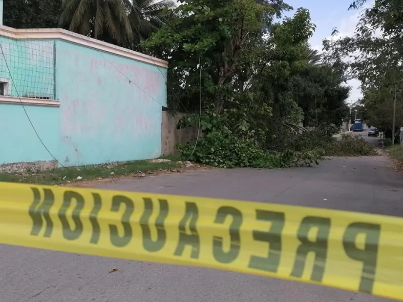 imagen recuadro imagen recuadro