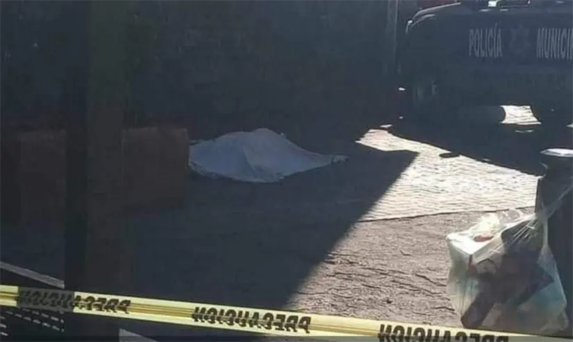 imagen recuadro imagen recuadro