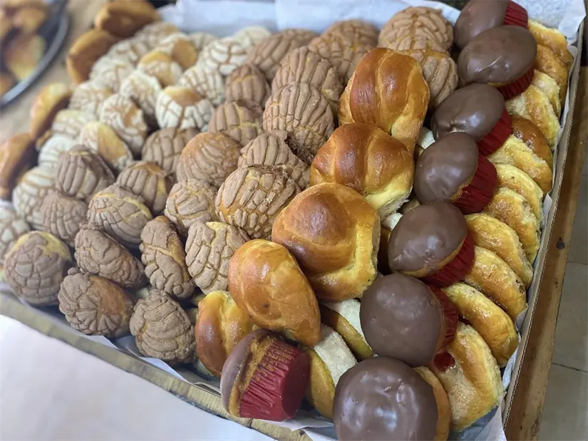 imagen recuadro imagen recuadro