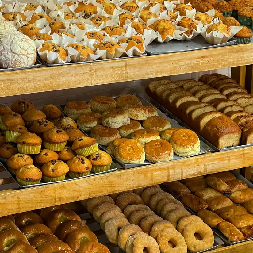 imagen recuadro imagen recuadro