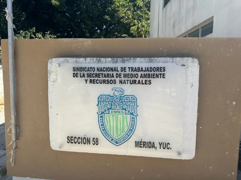 imagen recuadro imagen recuadro
