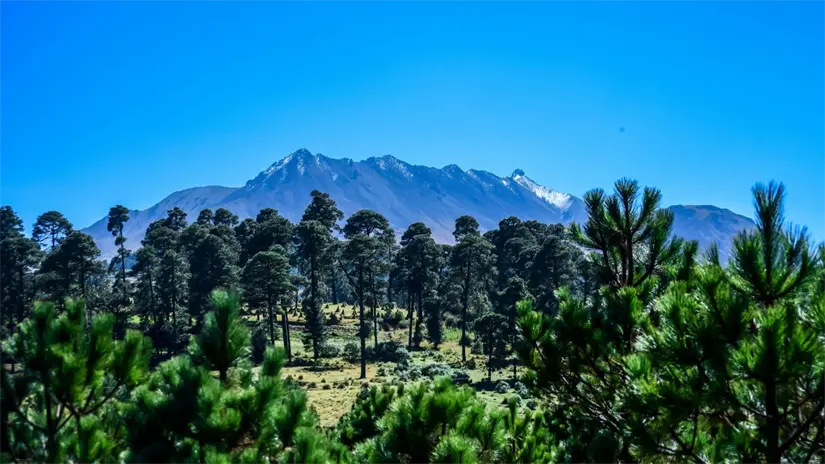 imagen recuadro imagen recuadro