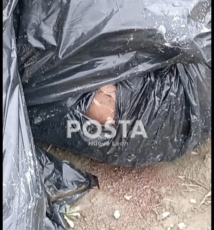 imagen recuadro