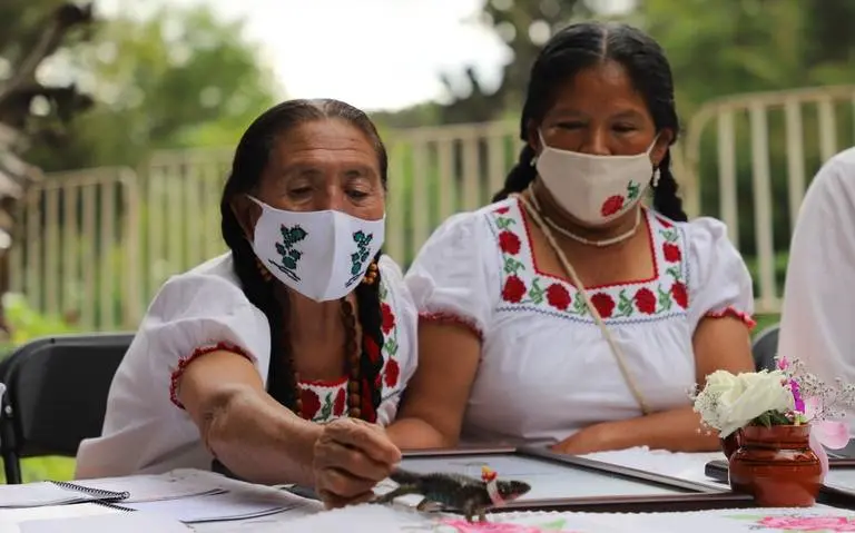 imagen recuadro imagen recuadro