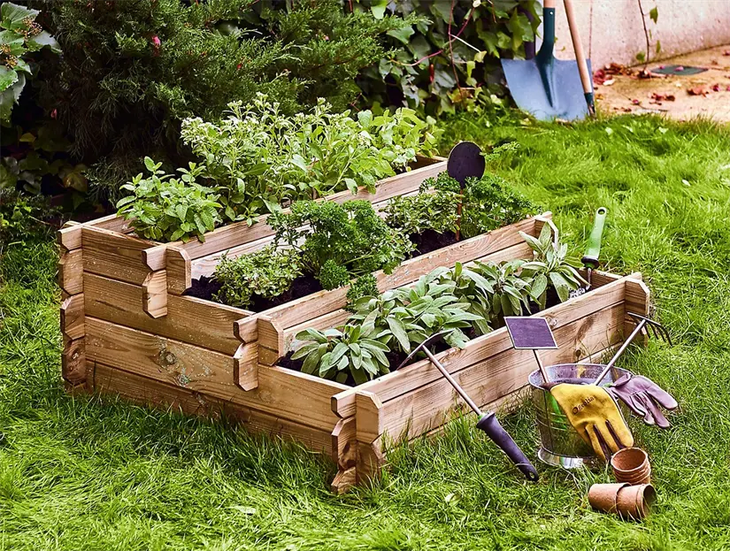 imagen recuadro imagen recuadro