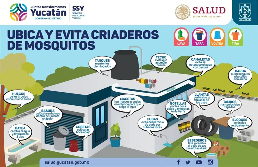 imagen recuadro imagen recuadro