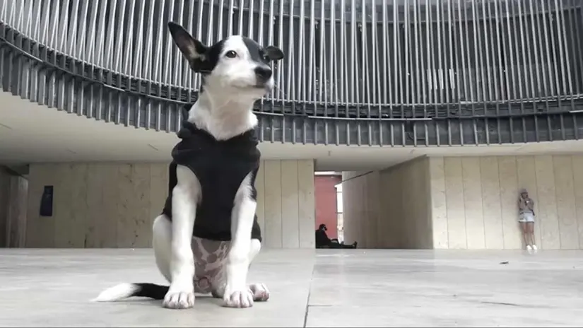 imagen recuadro imagen recuadro