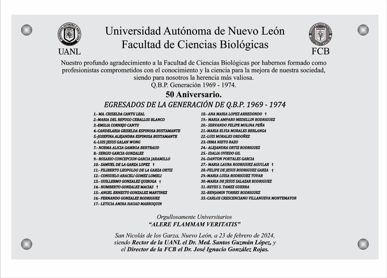 imagen recuadro