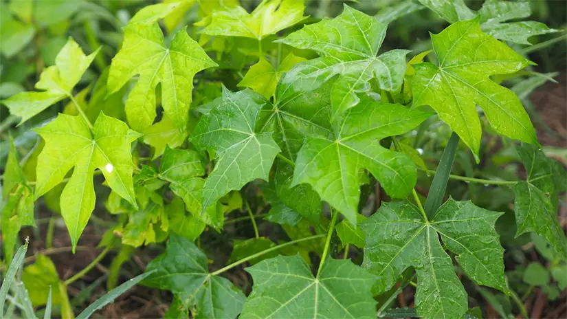 imagen recuadro imagen recuadro