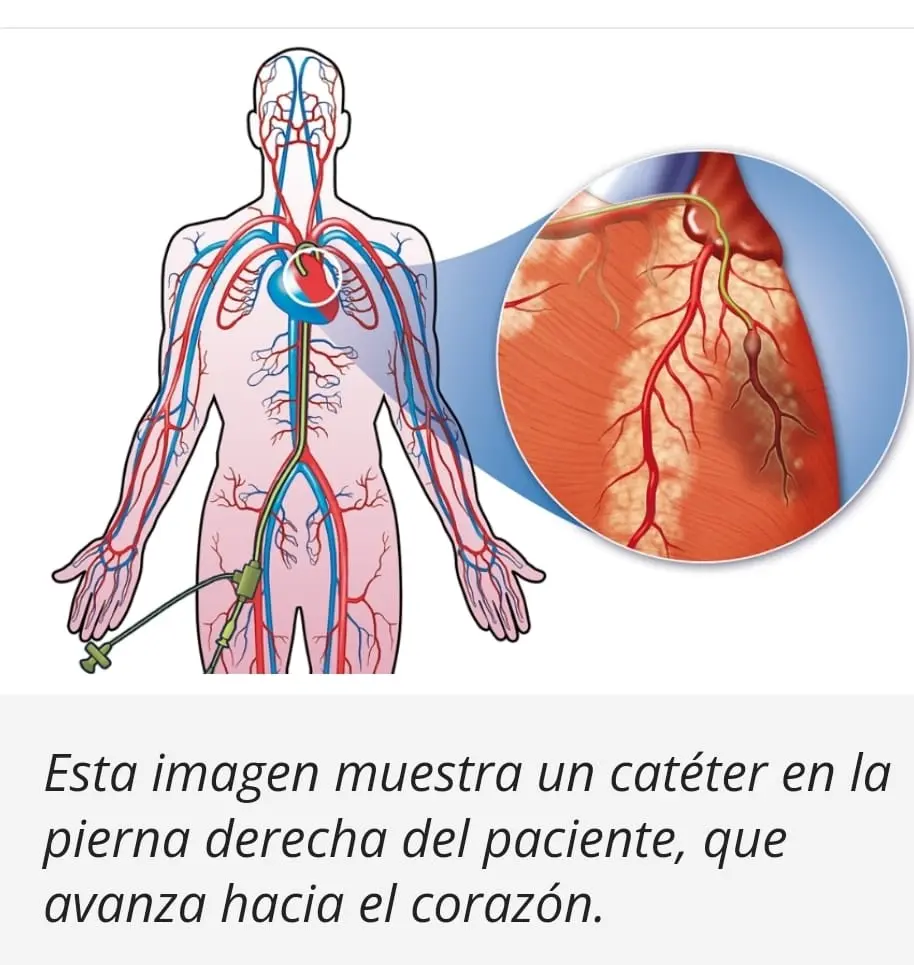 imagen recuadro imagen recuadro