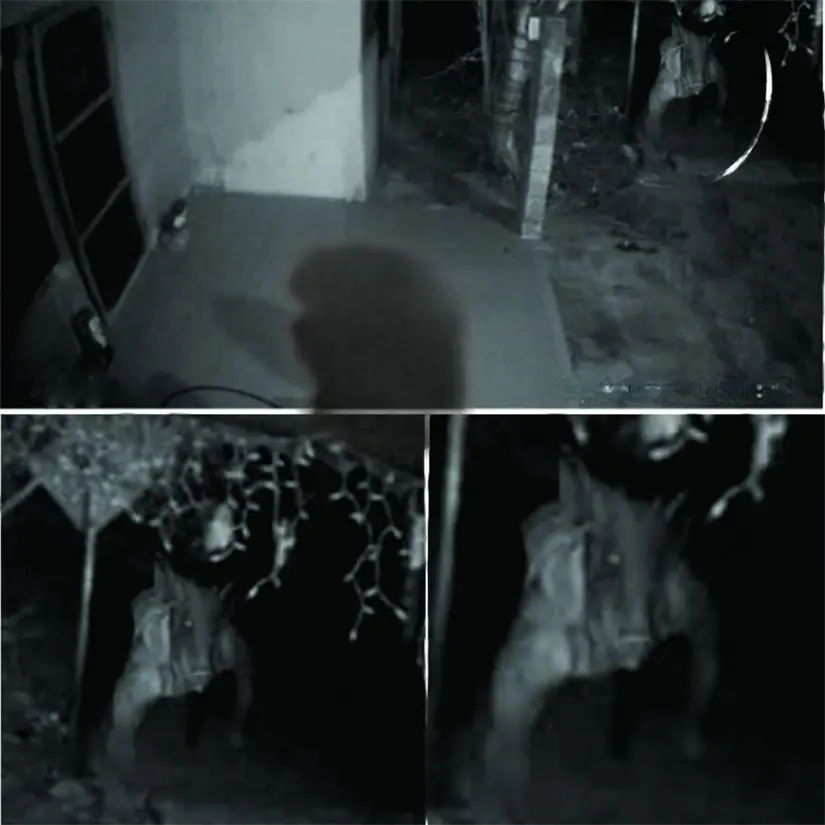 imagen recuadro imagen recuadro