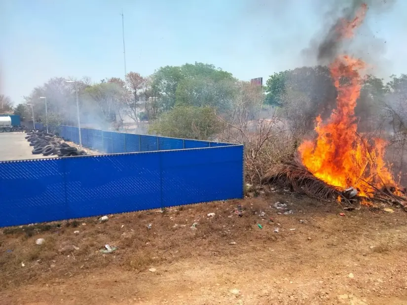 imagen recuadro imagen recuadro