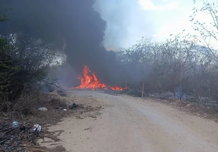 imagen recuadro imagen recuadro