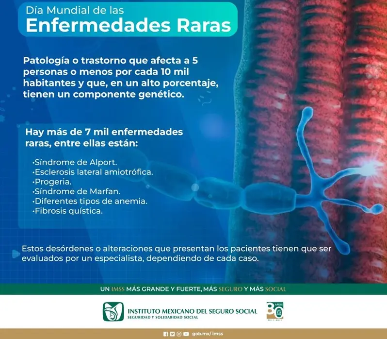 imagen recuadro