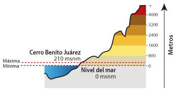 imagen recuadro