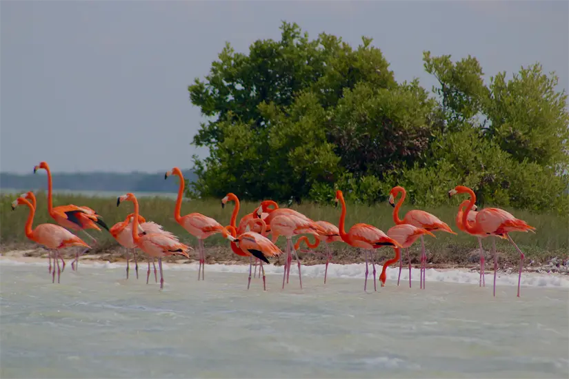 imagen recuadro imagen recuadro