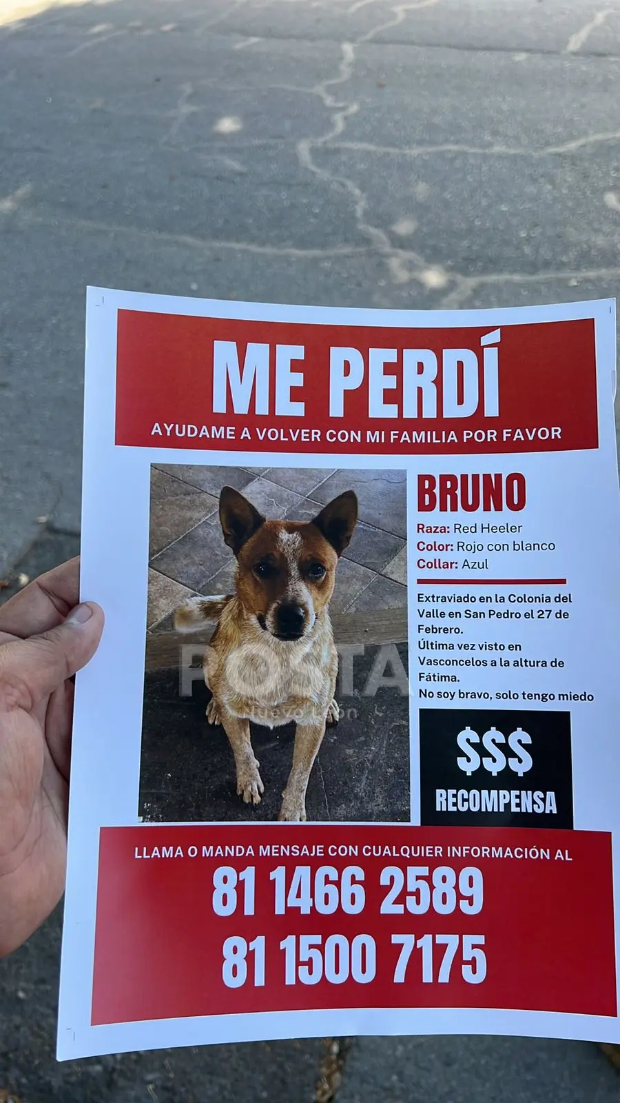 imagen recuadro