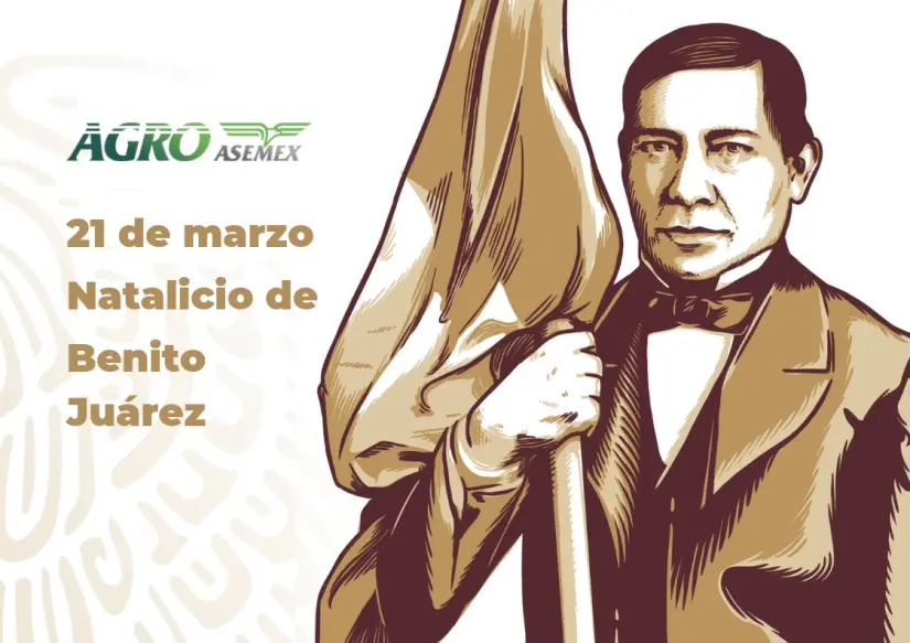 imagen recuadro imagen recuadro