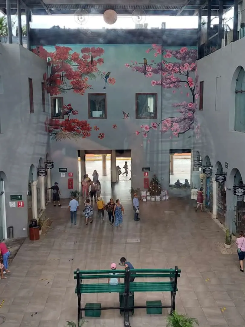 imagen recuadro imagen recuadro