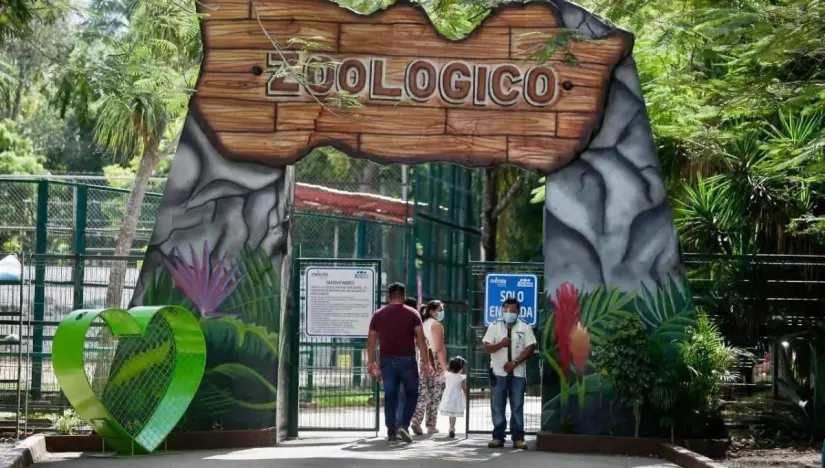imagen recuadro