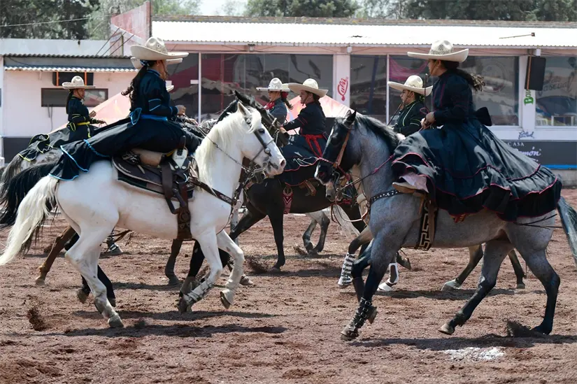 imagen recuadro imagen recuadro