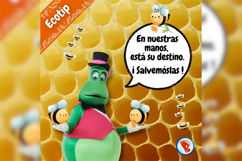 imagen recuadro imagen recuadro