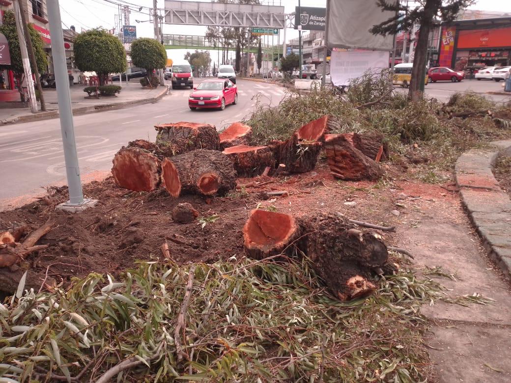 imagen recuadro