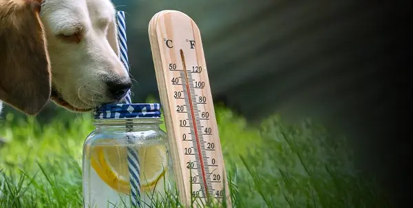 imagen recuadro imagen recuadro