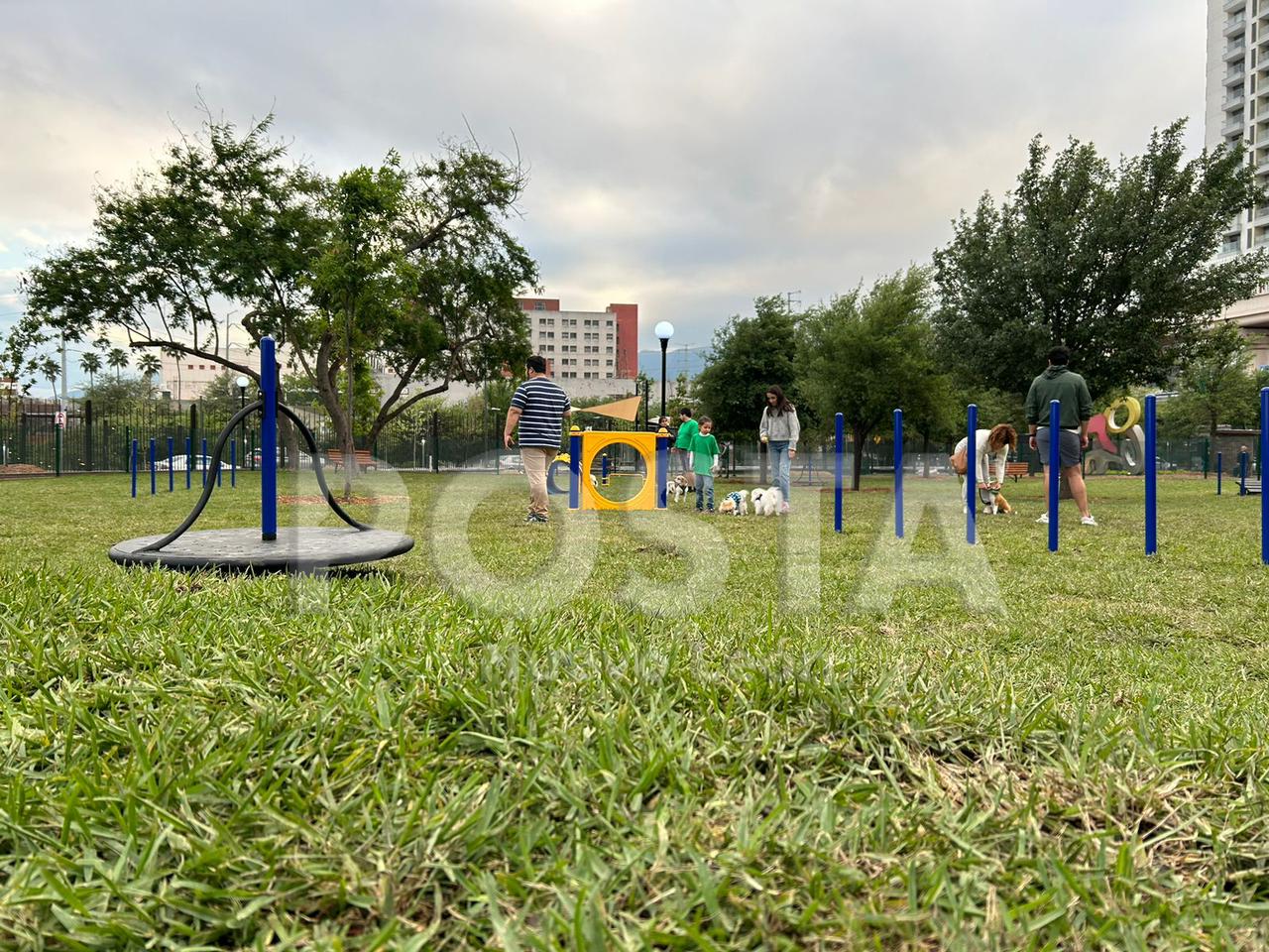 imagen recuadro