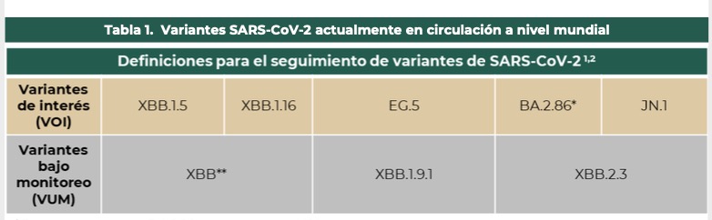 imagen recuadro