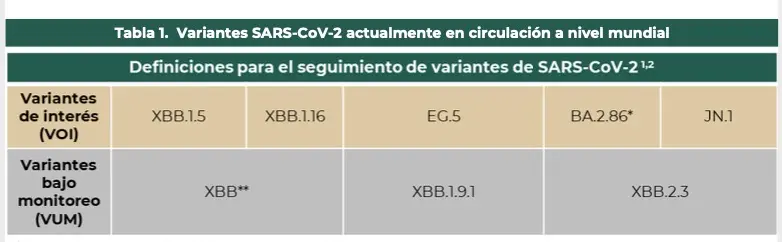 imagen recuadro