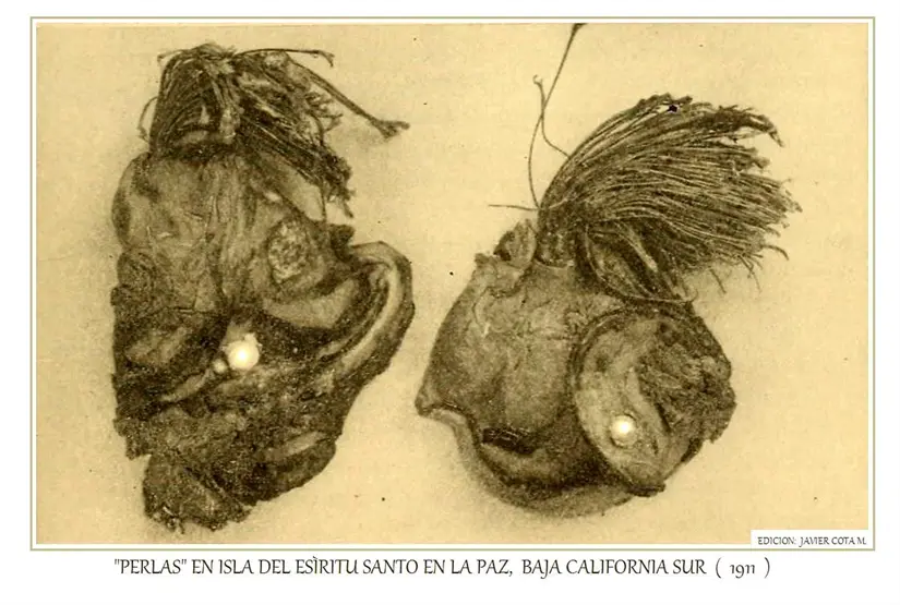 imagen recuadro imagen recuadro