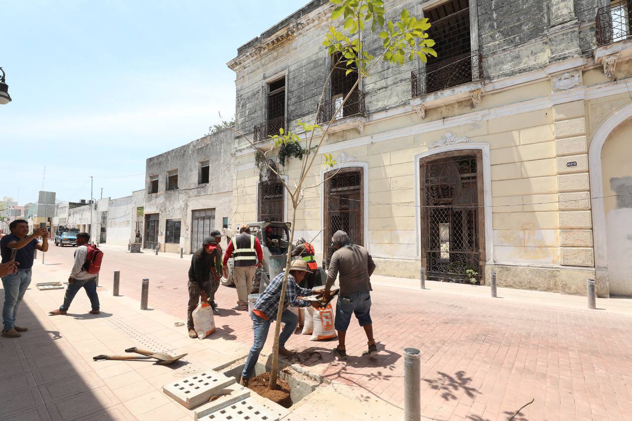 imagen recuadro