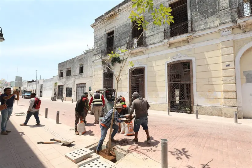 imagen recuadro