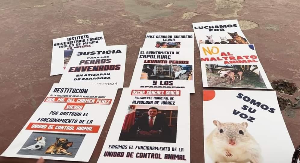 imagen recuadro