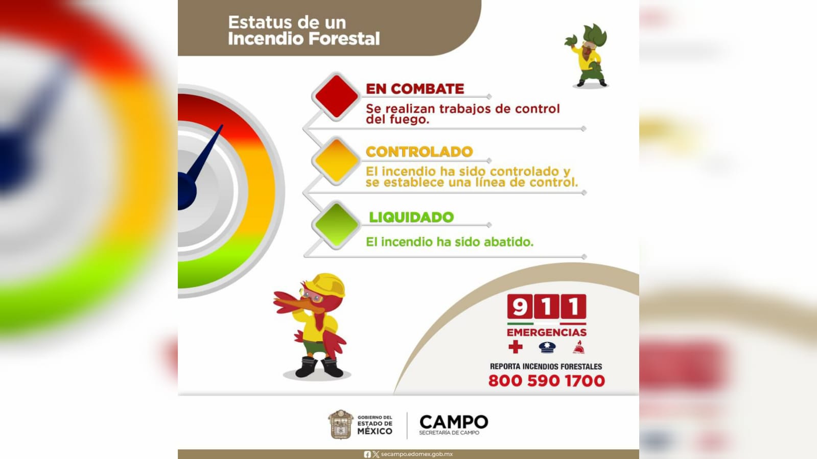imagen recuadro