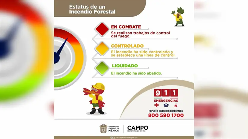 imagen recuadro imagen recuadro