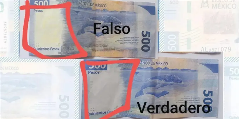 imagen recuadro