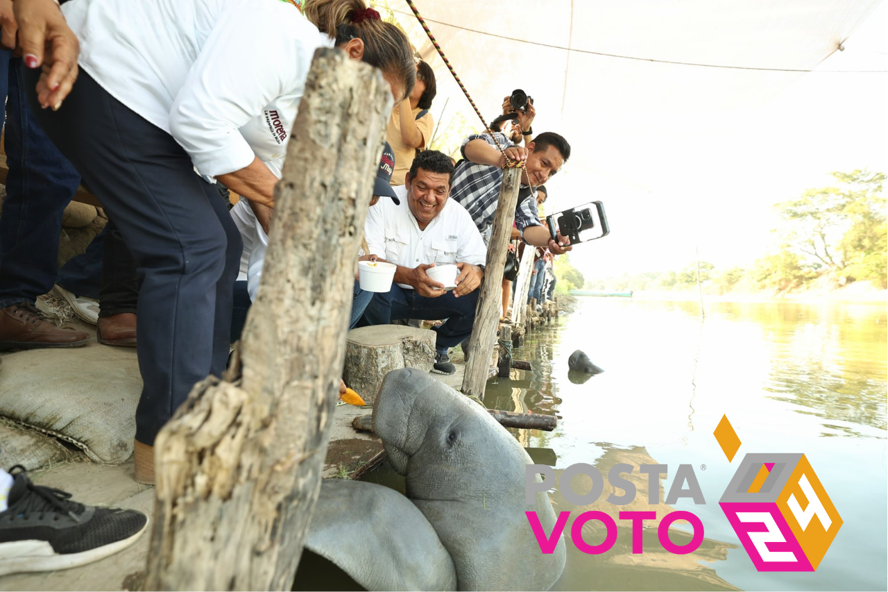 imagen recuadro