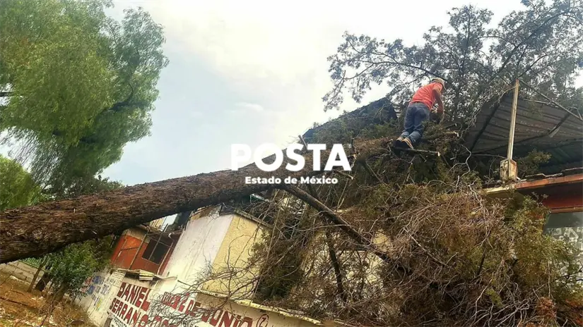 imagen recuadro