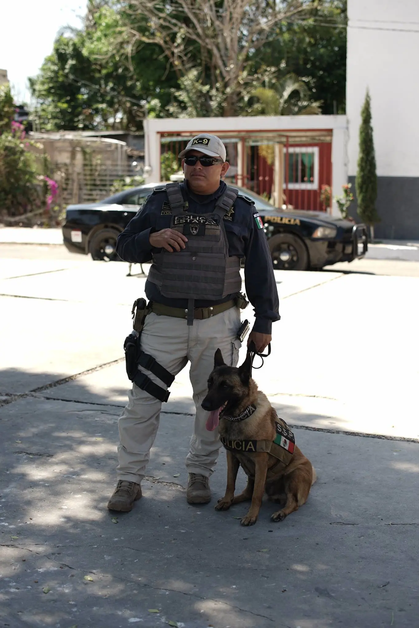 imagen recuadro imagen recuadro