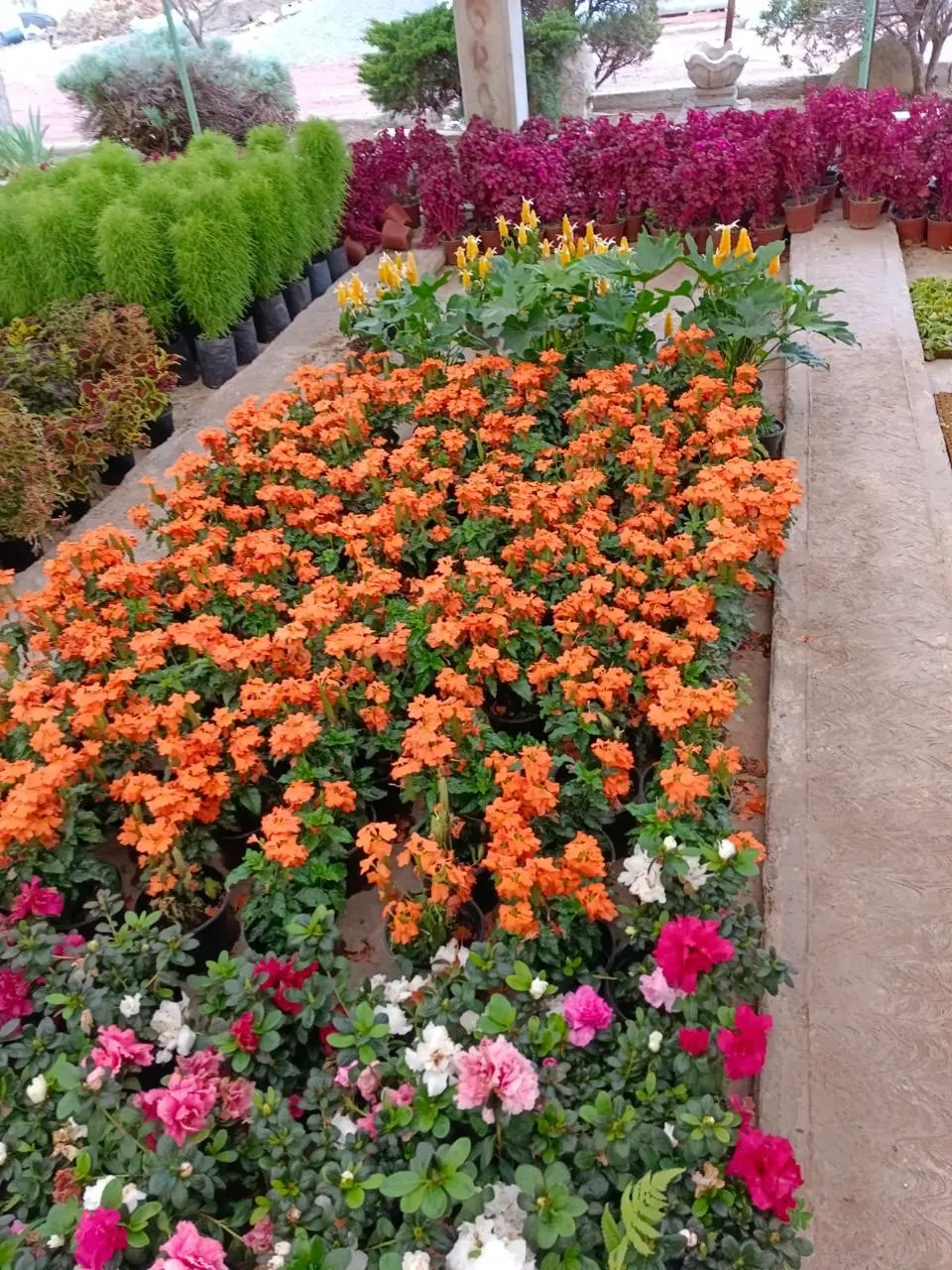 imagen recuadro imagen recuadro