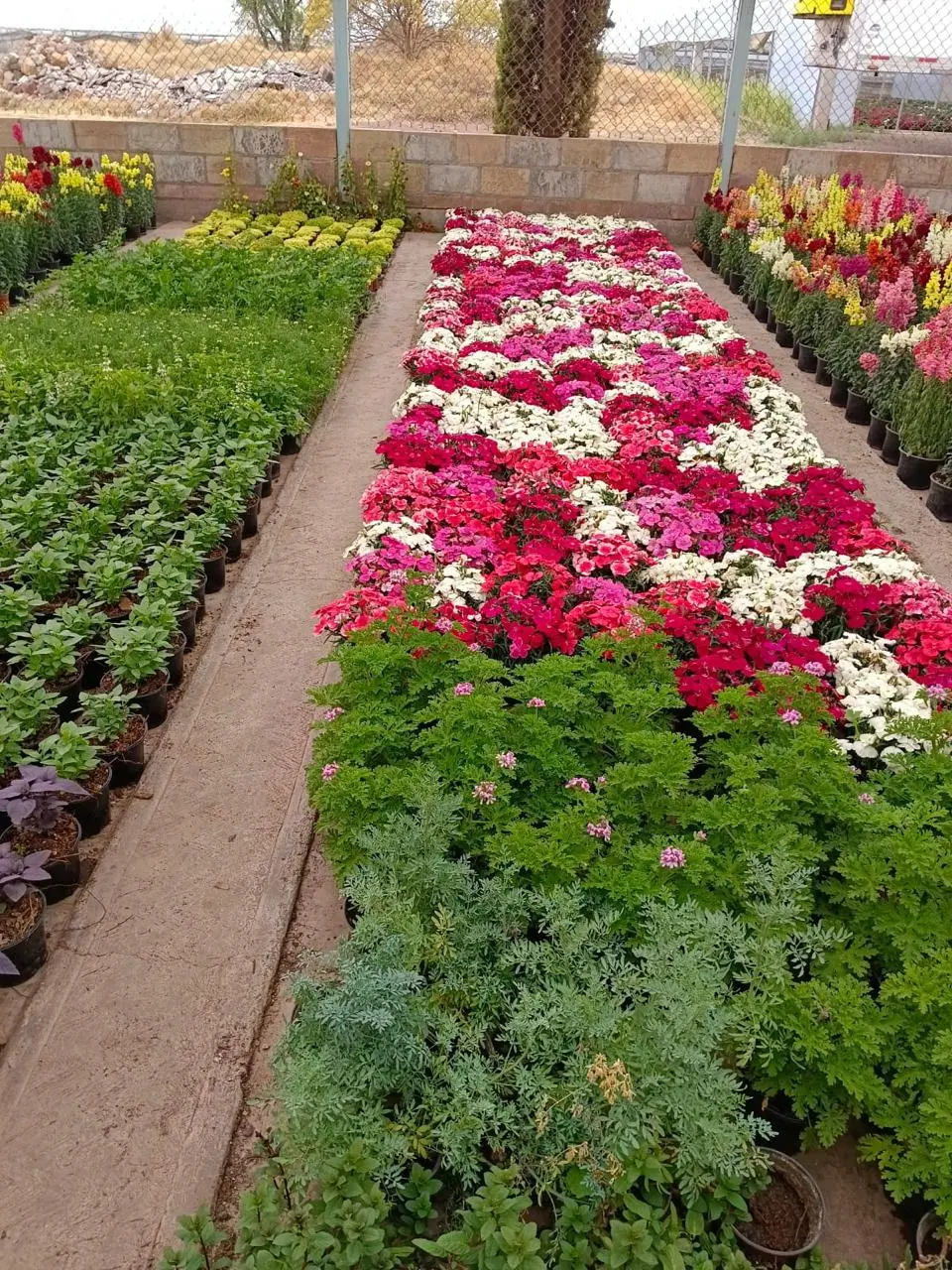 imagen recuadro imagen recuadro