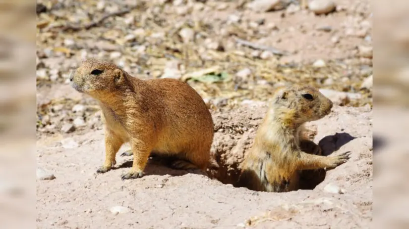 imagen recuadro imagen recuadro