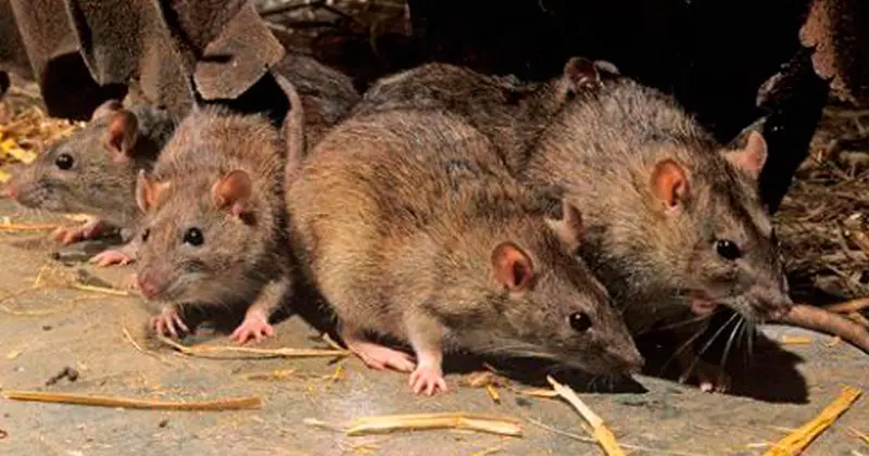 imagen recuadro imagen recuadro