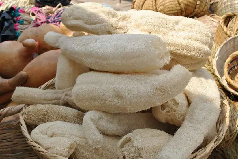 imagen recuadro imagen recuadro