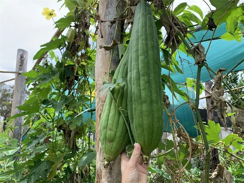 imagen recuadro imagen recuadro