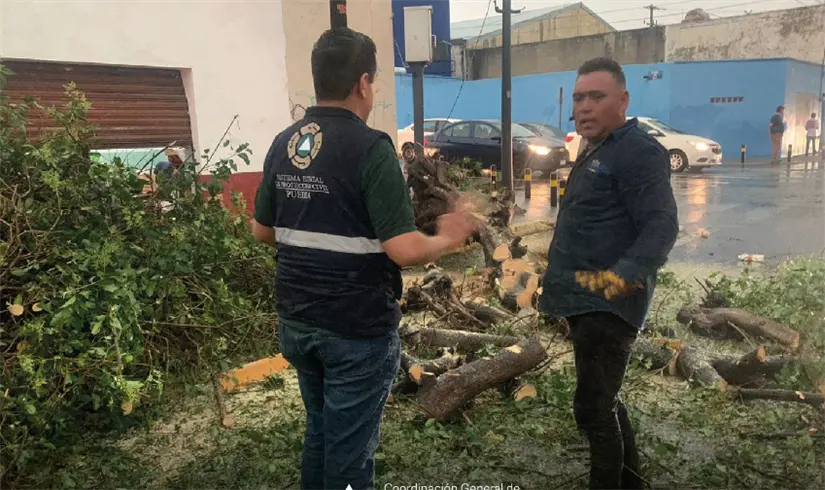 imagen recuadro imagen recuadro